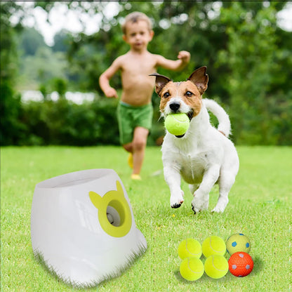 Automatic Dog Ball Launcher