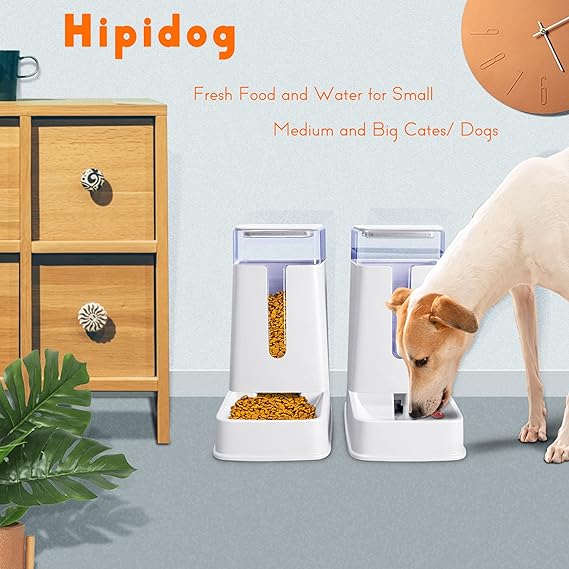 Automatic Cat/Dog Feeder